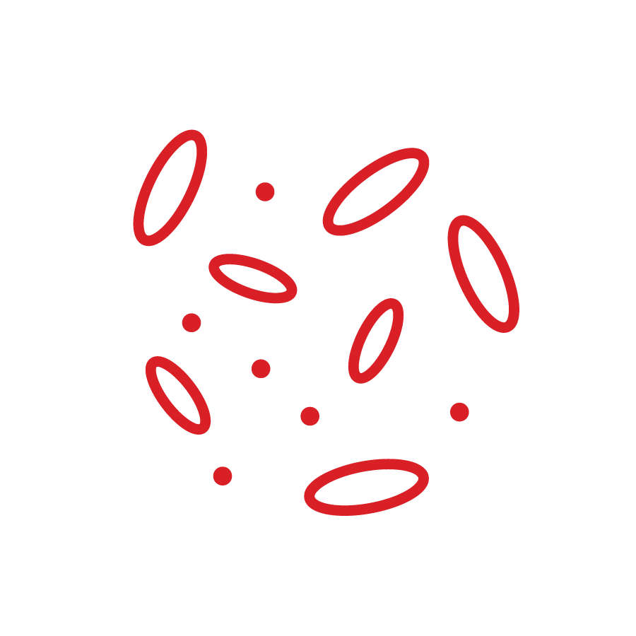 RENEWABLE LYCRA<sup>®</sup> FIBER PREVIEWED
