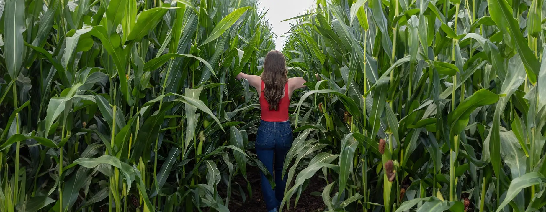 RENEWABLE LYCRA® FIBER