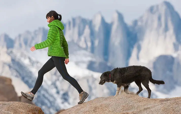 THERMOLITE® T3 INSULATION