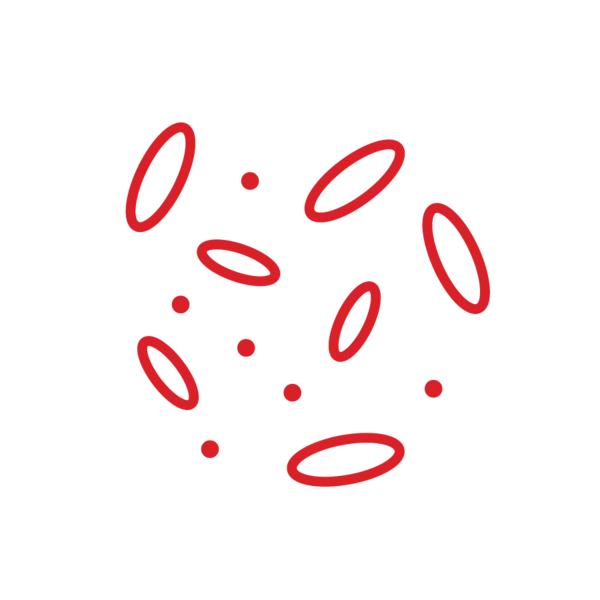 预览可再生LYCRA®纤维