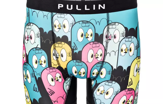 PULLIN 男士内裤 FASHION 2 FAMILYBIRDS